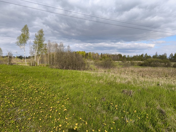Фото участок лпх 1га д.гораи