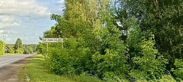 участок 3,6 га сельхозки в д. Великое поле Псковского района