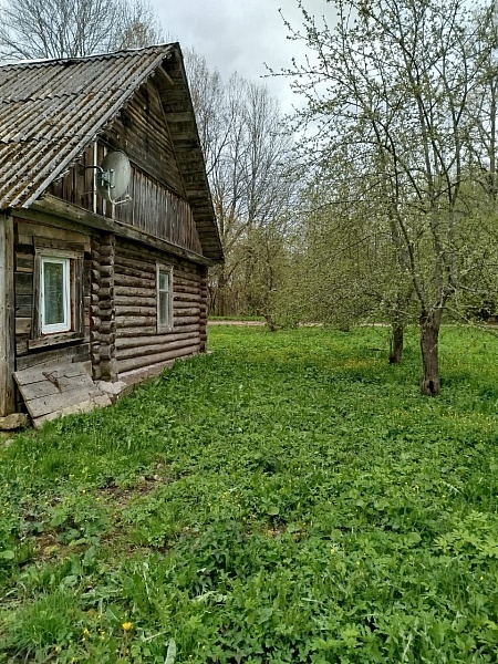 Жилой дом в д. Шевелево Карамышевской волости