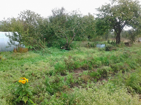 Дом с подсобным хозяйством вблизи Красногородска