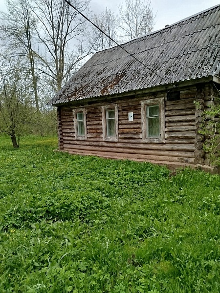 Жилой дом в д. Шевелево Карамышевской волости