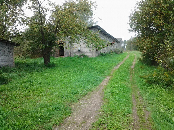 Дом с подсобным хозяйством вблизи Красногородска
