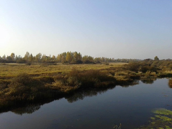 Дом на берегу реки в Псковской обл