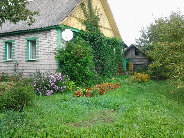 Дом с подсобным хозяйством вблизи Красногородска
